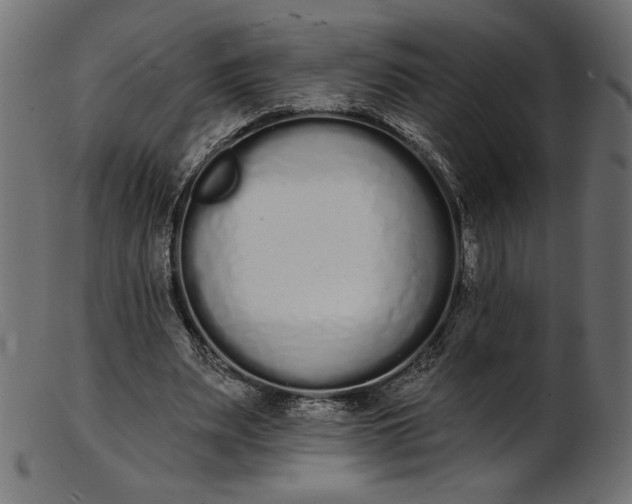 X0000103230487200809111533