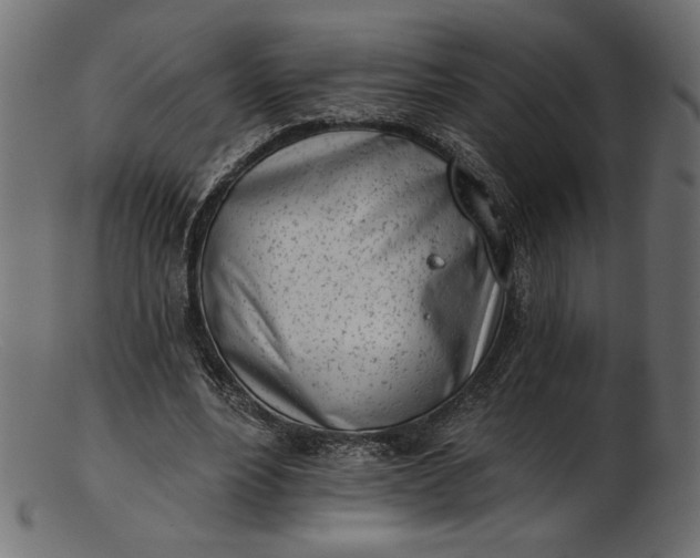 X0000103230488200809111533