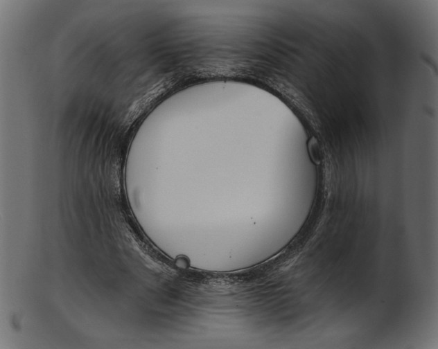 X0000103230489200809111533