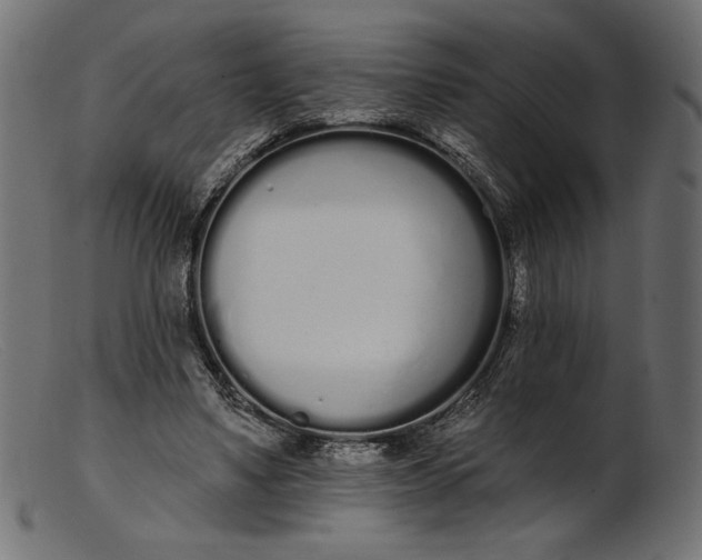 X0000103230491200809111533