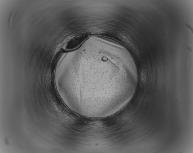 X0000103230492200809111533