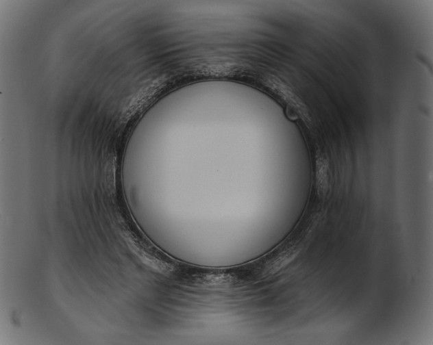 X0000103230493200809111533