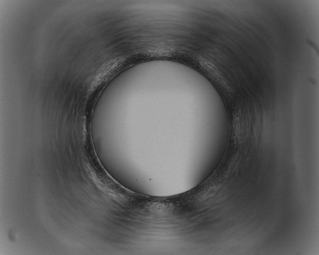 X0000103230494200809111533