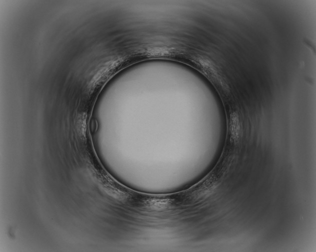 X0000103230495200809111533