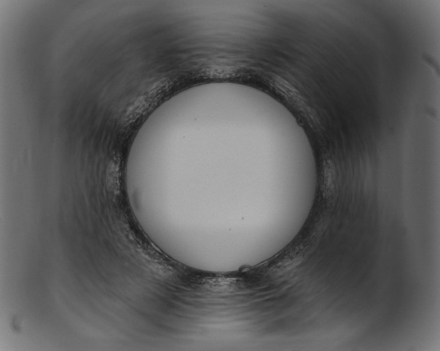 X0000103230497200809111533