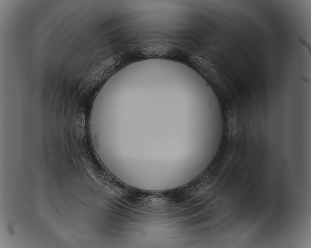 X0000103230498200809111533