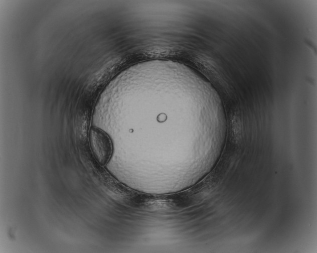 X0000103230499200809111533