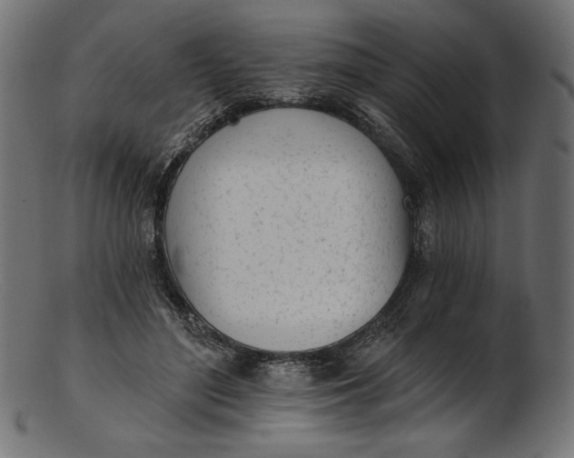 X0000103230500200809111533