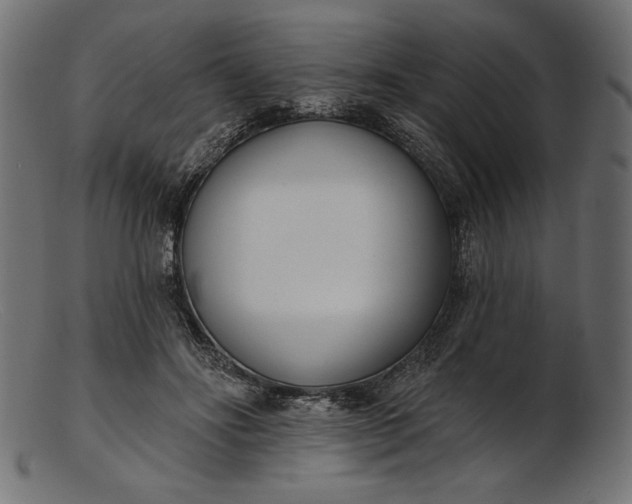 X0000103230502200809111533