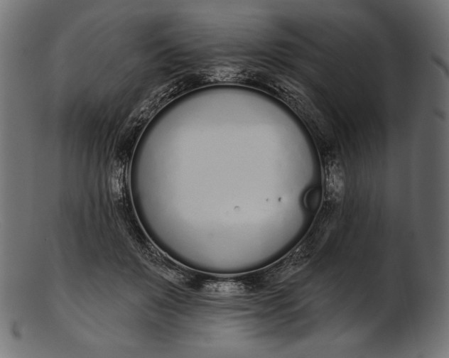 X0000103230503200809111533