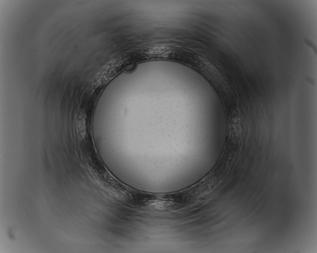 X0000103230504200809111533