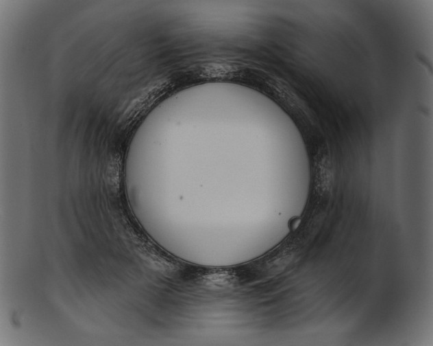 X0000103230505200809111533