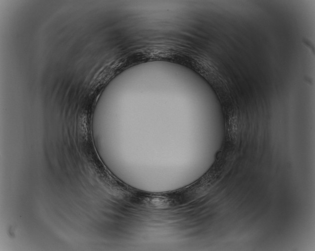 X0000103230506200809111533