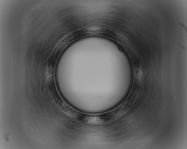 X0000103230507200809111533