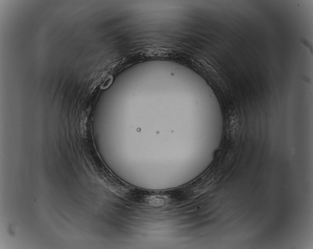 X0000103230508200809111533