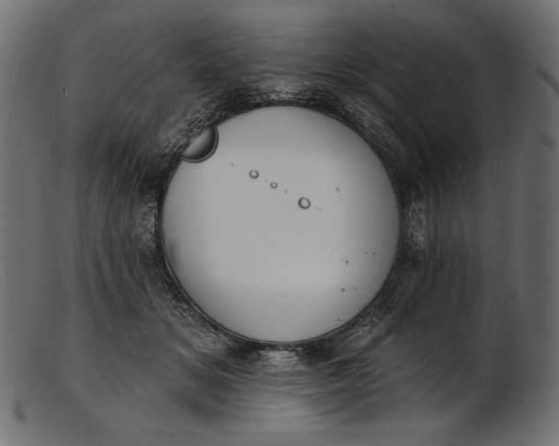 X0000103230509200809111533