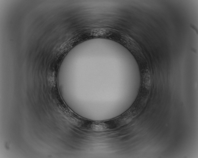 X0000103230510200809111533