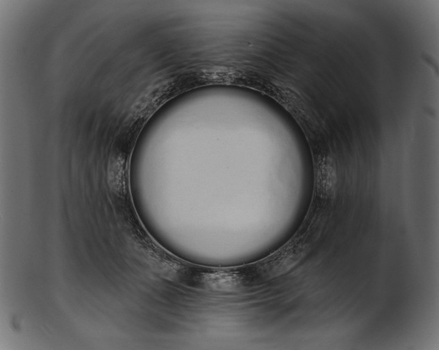 X0000103230511200809111533