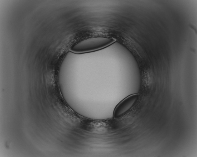 X0000103230512200809111533