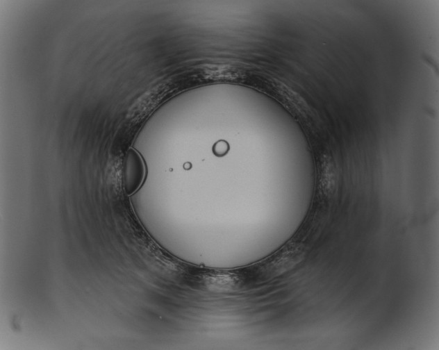 X0000103230513200809111533