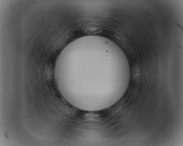 X0000103230515200809111533