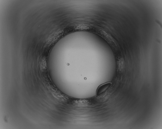 X0000103230517200809111533