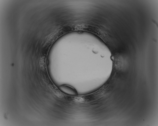 X0000103230519200809111532