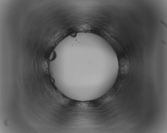 X0000103230523200809111532