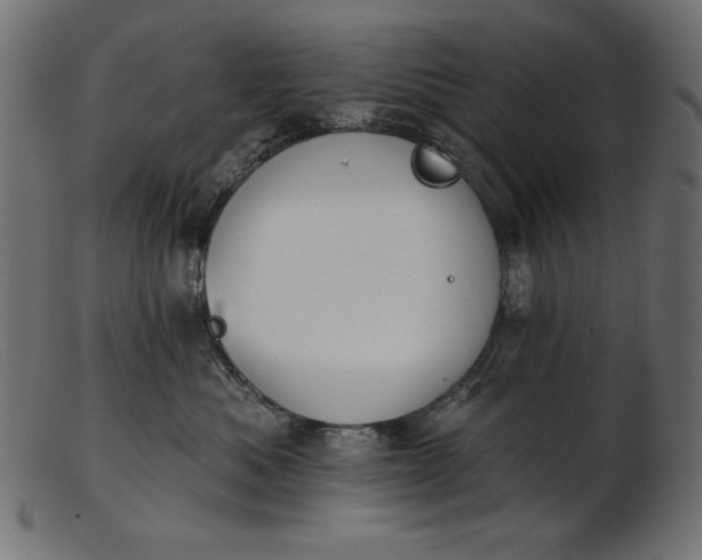 X0000103230525200809111532