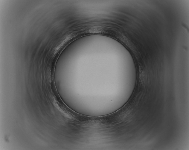X0000103230530200809111532
