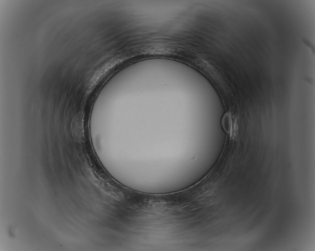 X0000103230531200809111532