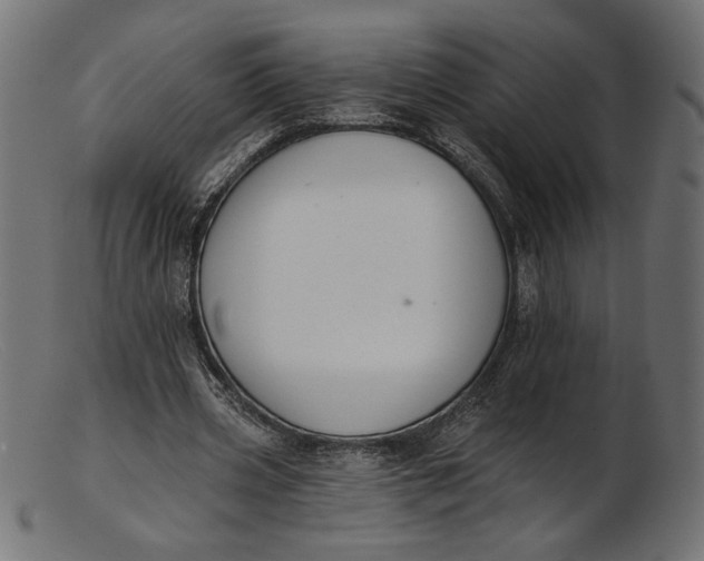 X0000103230533200809111532