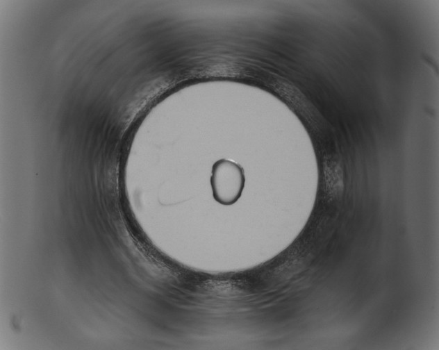 X0000103230534200809111532