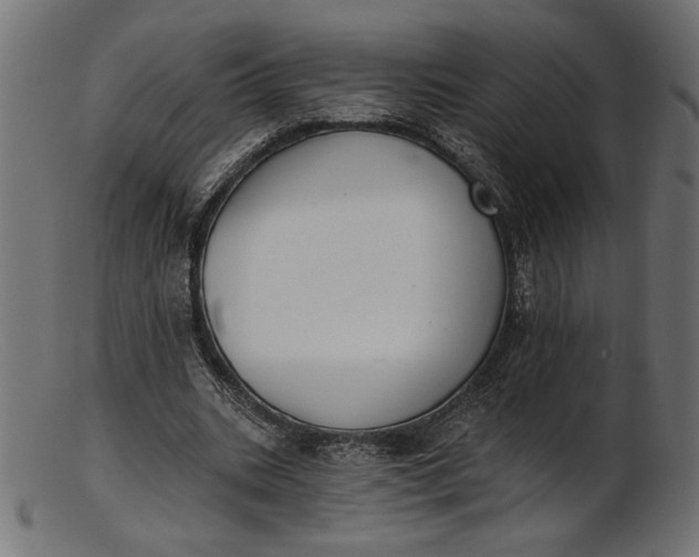 X0000103230535200809111532
