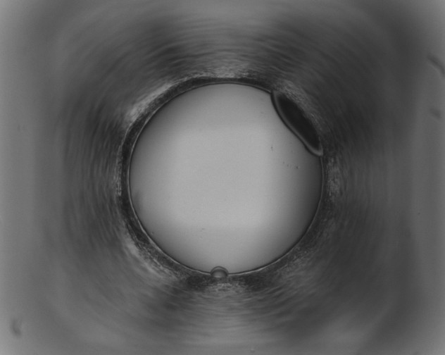 X0000103230536200809111532