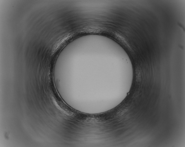 X0000103230538200809111532