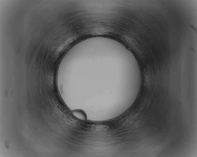 X0000103230539200809111532