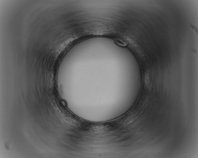 X0000103230540200809111532