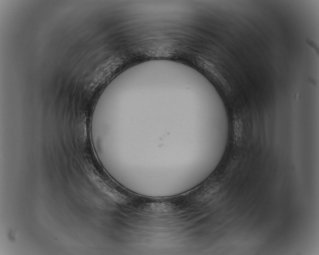 X0000103230541200809111532