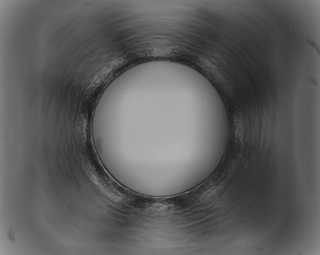 X0000103230542200809111532