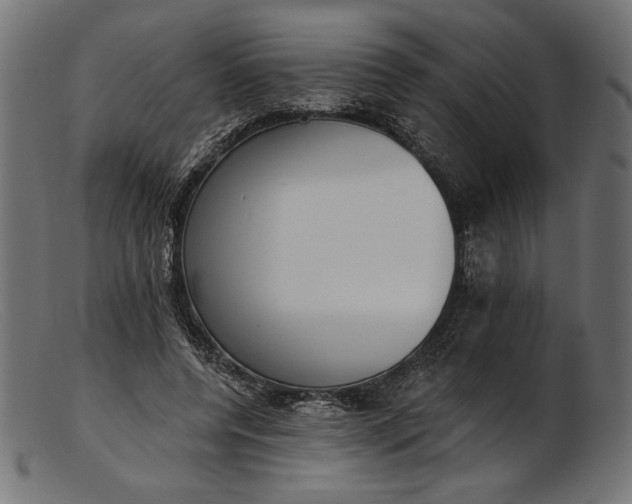 X0000103230544200809111532