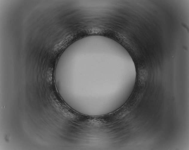 X0000103230545200809111532