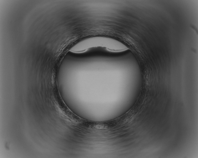 X0000103230546200809111532