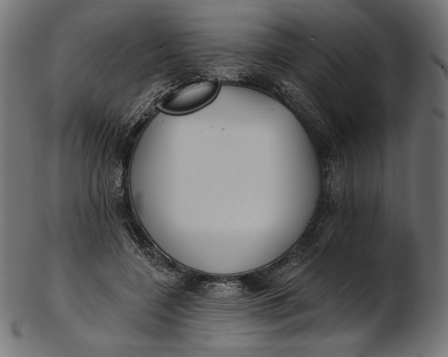 X0000103230548200809111532