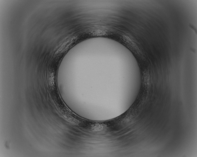 X0000103230549200809111532