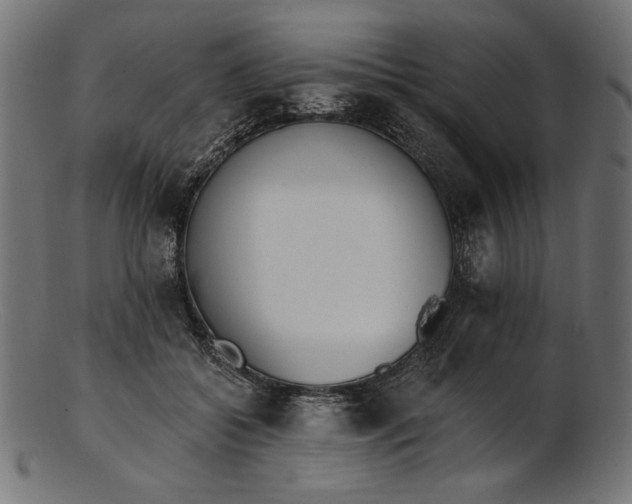 X0000103230556200809111532