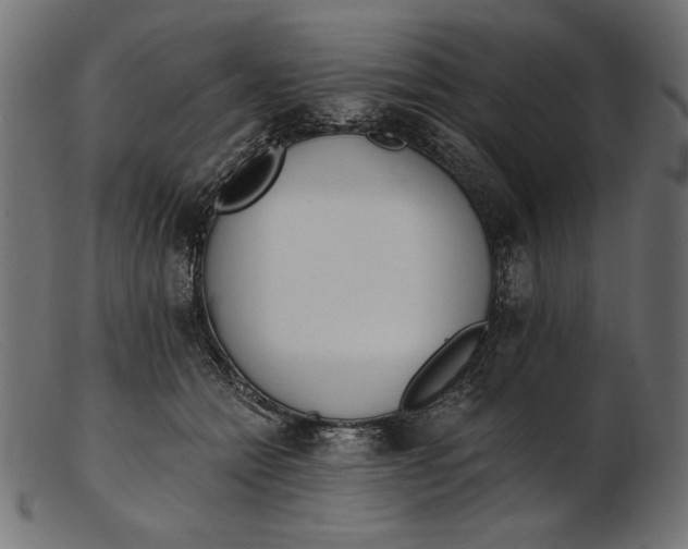 X0000103230558200809111532