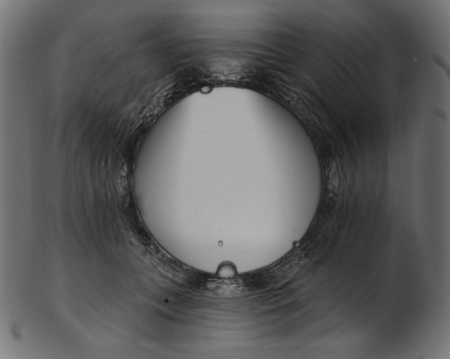 X0000103230559200809111532