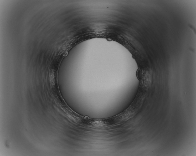 X0000103230562200809111532
