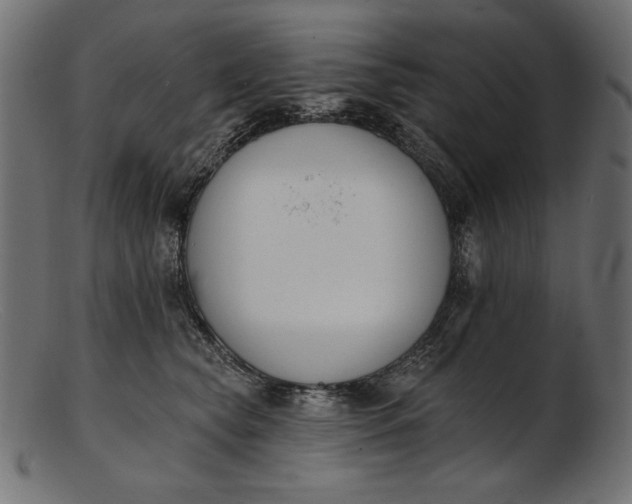 X0000103230565200809111532